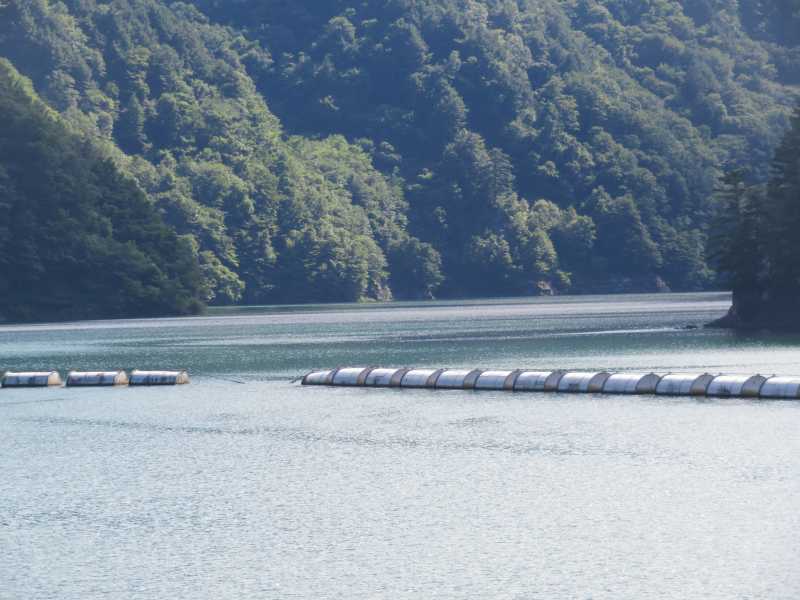 f:id:mannenNA:20200909203112j:plain f:id:mannenNA:20200909203112j:plain