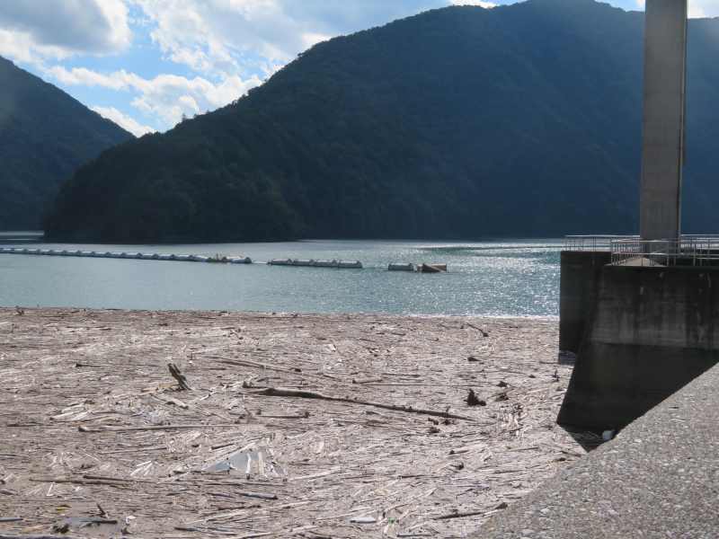 f:id:mannenNA:20200909203131j:plain f:id:mannenNA:20200909203131j:plain