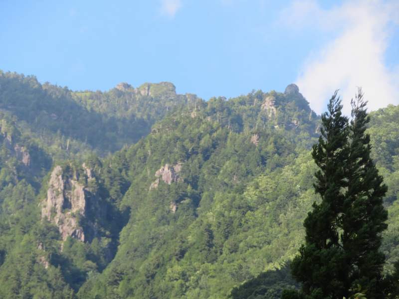 f:id:mannenNA:20200909203909j:plain f:id:mannenNA:20200909203909j:plain