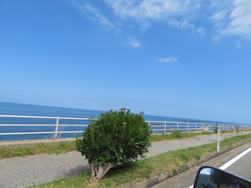 f:id:mannenNA:20200914205727j:plain f:id:mannenNA:20200914205727j:plain