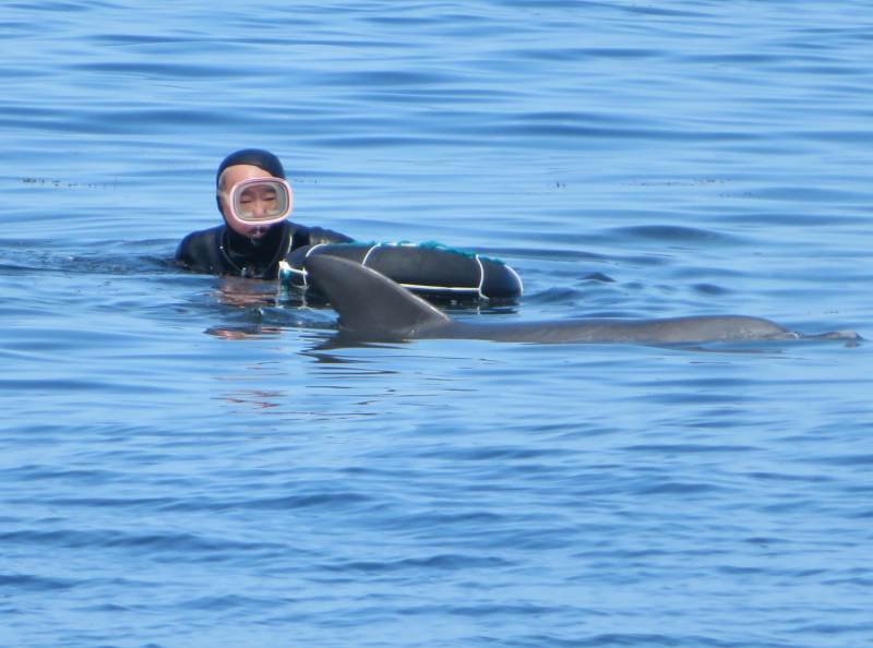 f:id:mannenNA:20200914205836j:plain f:id:mannenNA:20200914205836j:plain