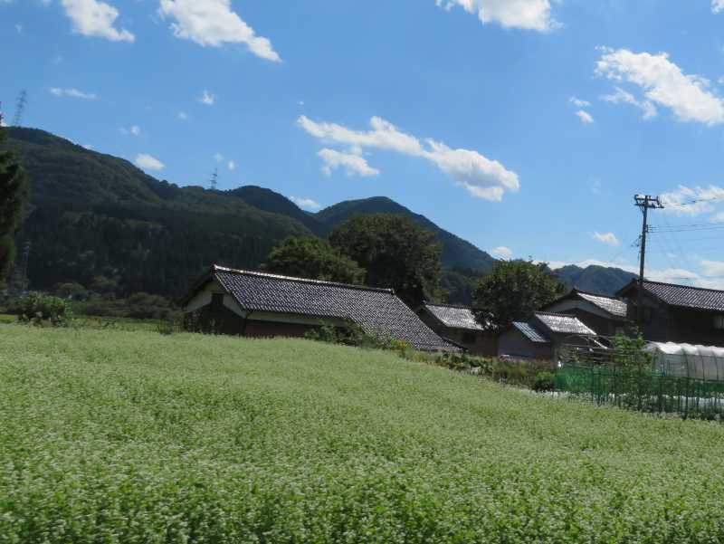 f:id:mannenNA:20200924175245j:plain