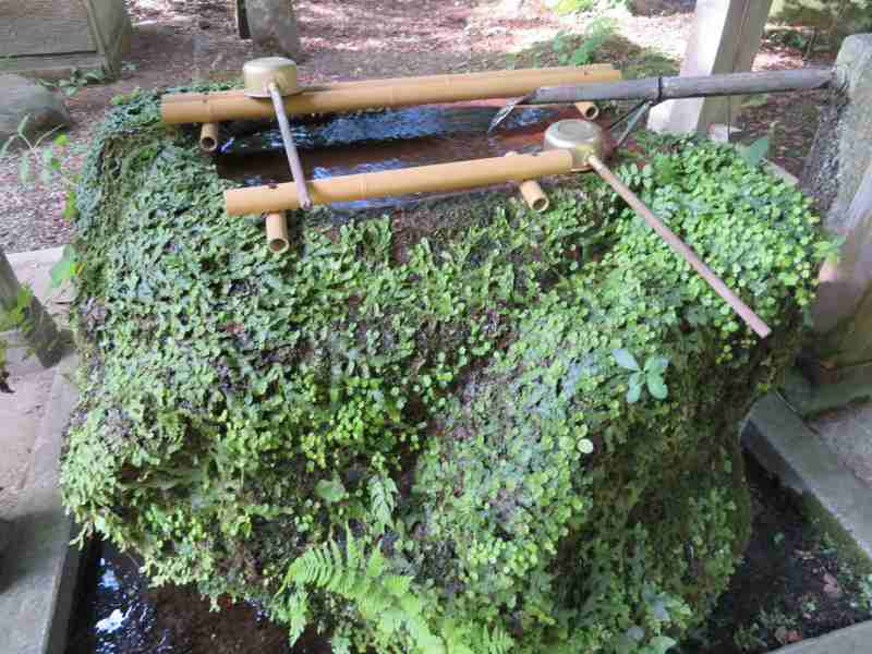 f:id:mannenNA:20200924175740j:plain