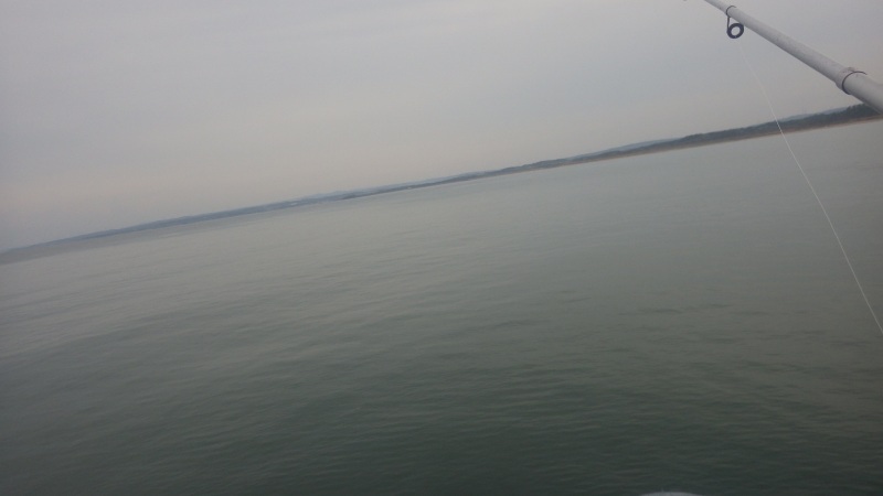 f:id:mannenNA:20201005185203j:plain