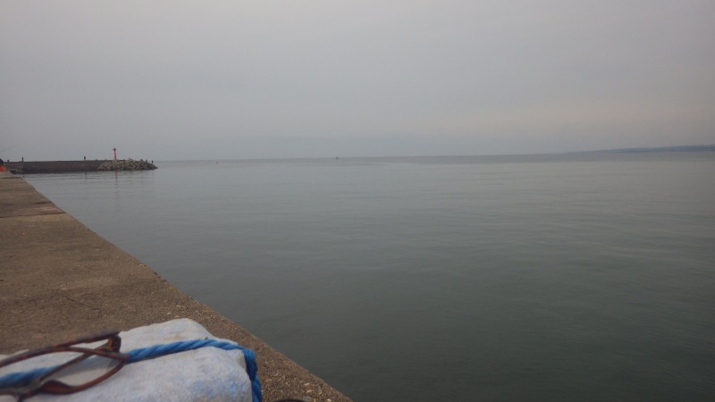 f:id:mannenNA:20201005185246j:plain