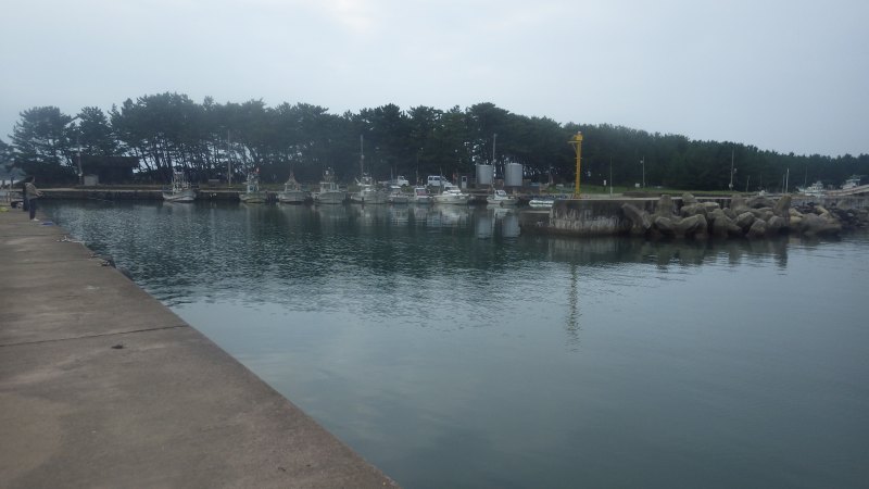 f:id:mannenNA:20201005185338j:plain