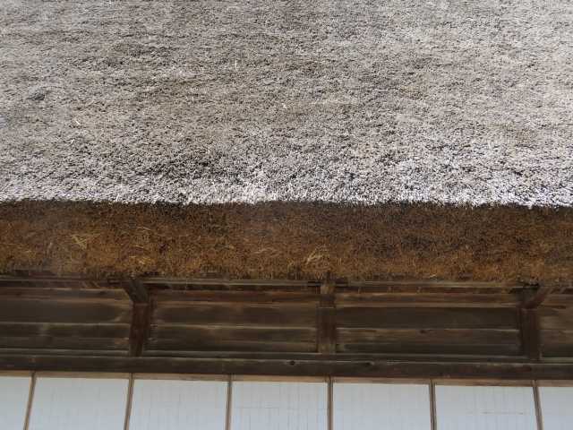 f:id:mannenNA:20201013193554j:plain