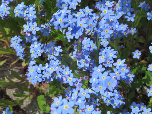 f:id:mannenNA:20201013193915j:plain