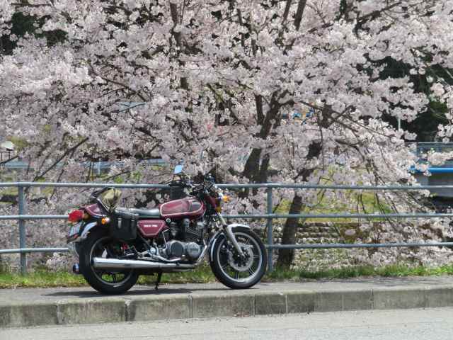 f:id:mannenNA:20201013193941j:plain