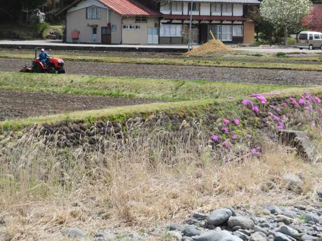 f:id:mannenNA:20201013194031j:plain