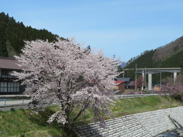 f:id:mannenNA:20201013194057j:plain