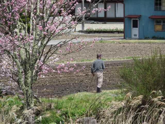 f:id:mannenNA:20201013194118j:plain