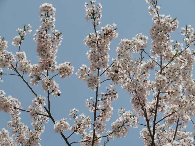 f:id:mannenNA:20201013194137j:plain