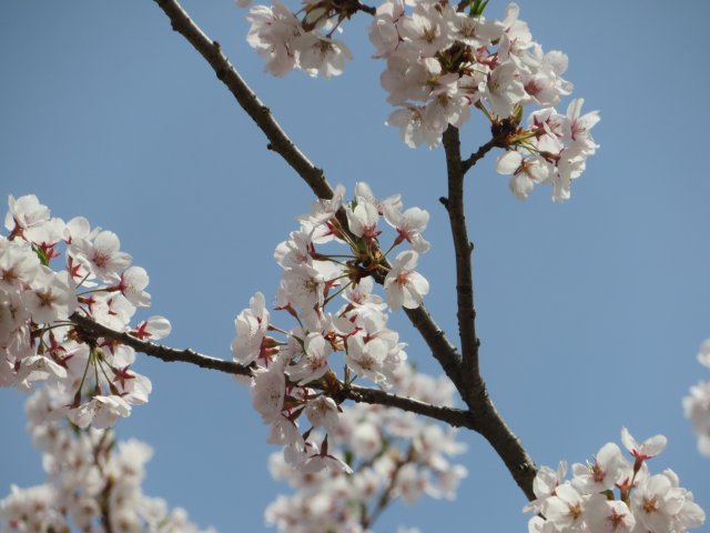 f:id:mannenNA:20201013194152j:plain