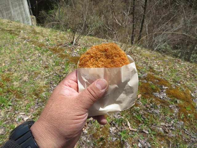 f:id:mannenNA:20201013195115j:plain