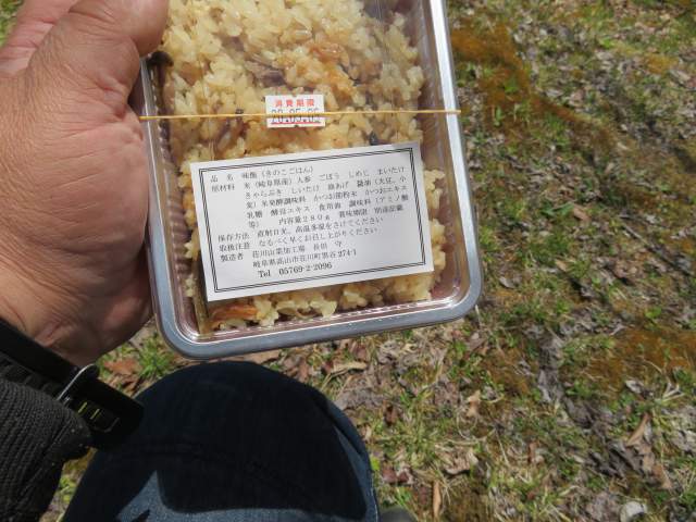 f:id:mannenNA:20201013195133j:plain