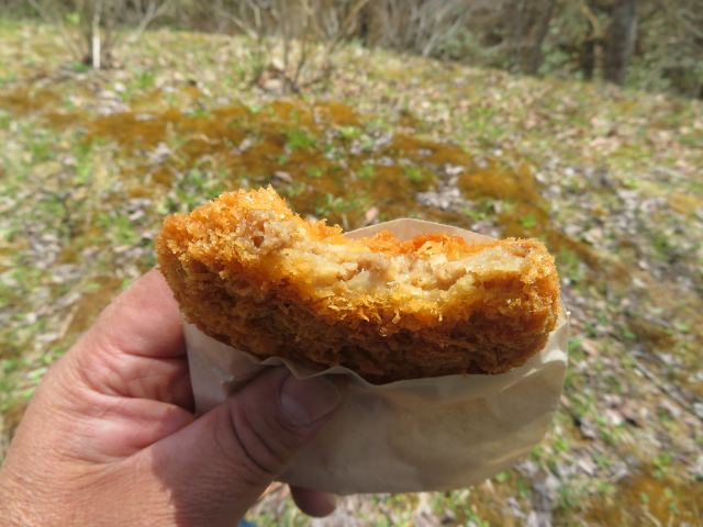 f:id:mannenNA:20201013195235j:plain