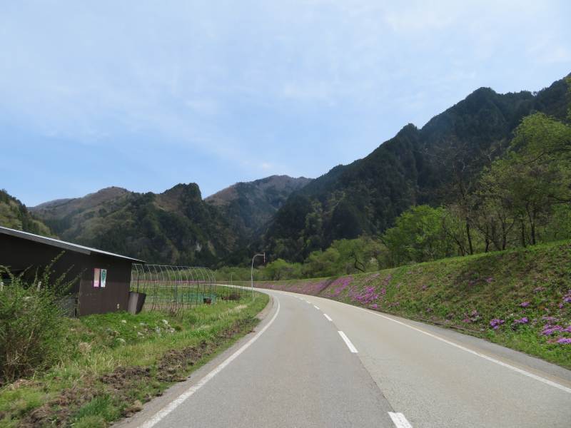 f:id:mannenNA:20201015202521j:plain