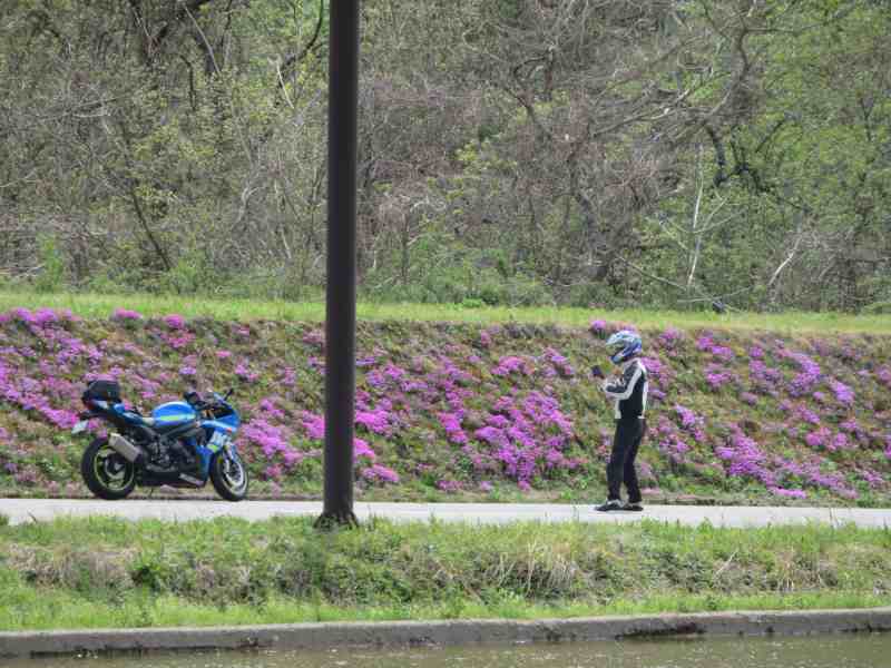 f:id:mannenNA:20201015202618j:plain