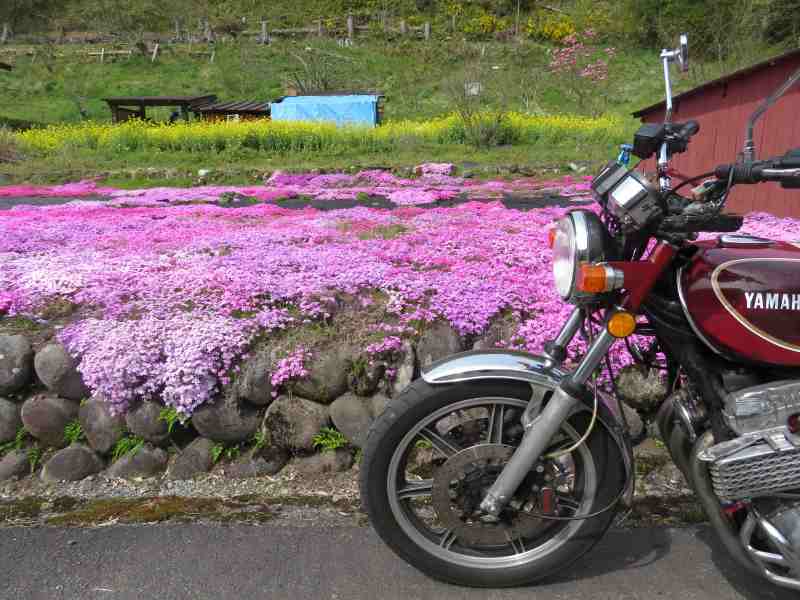 f:id:mannenNA:20201015202658j:plain