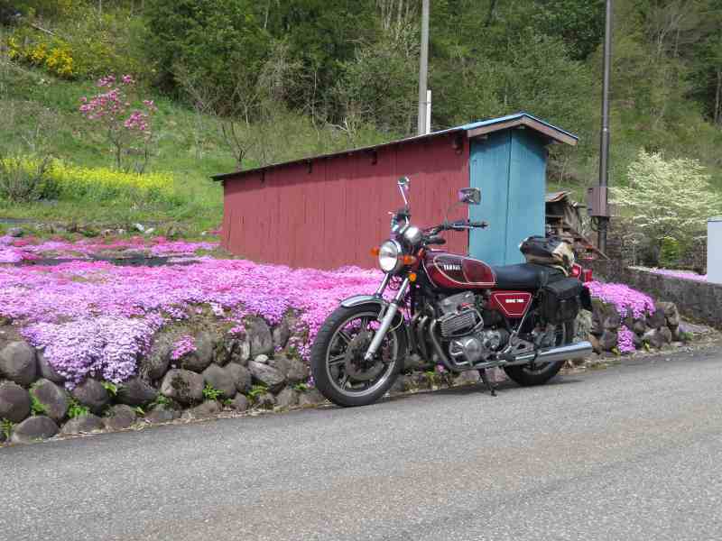 f:id:mannenNA:20201015202743j:plain