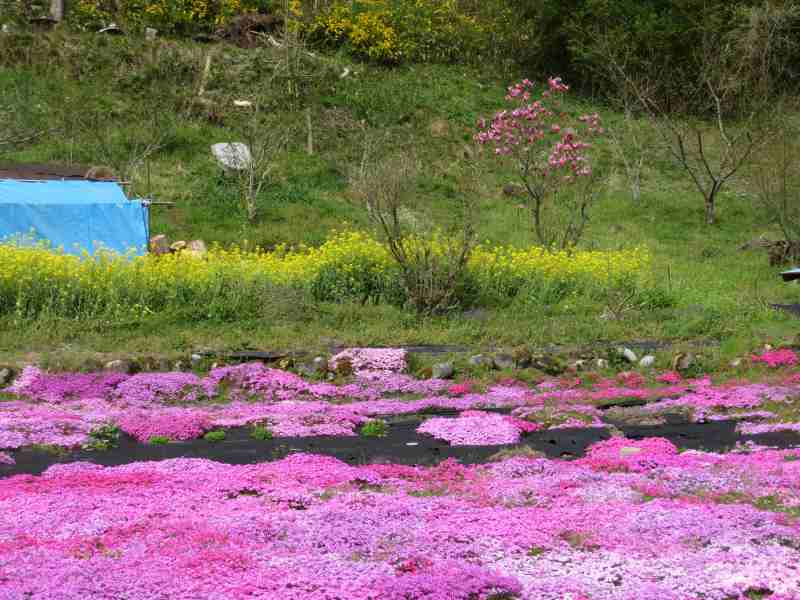 f:id:mannenNA:20201015202800j:plain