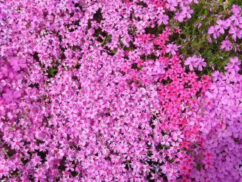 f:id:mannenNA:20201015202820j:plain