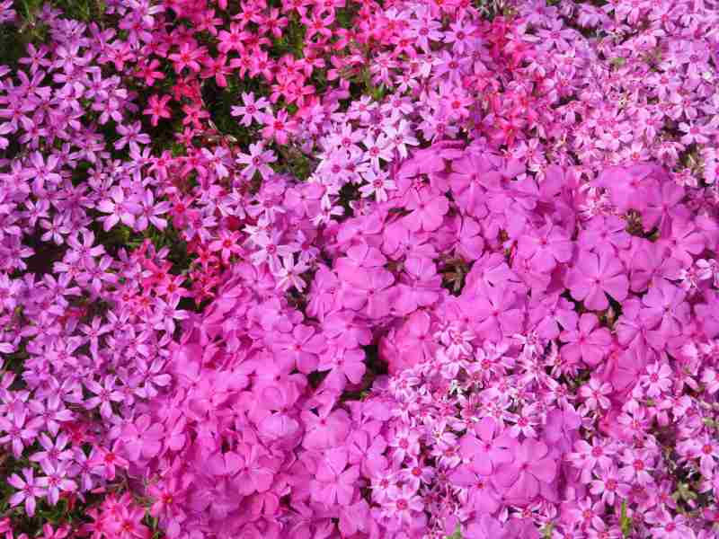 f:id:mannenNA:20201015202837j:plain