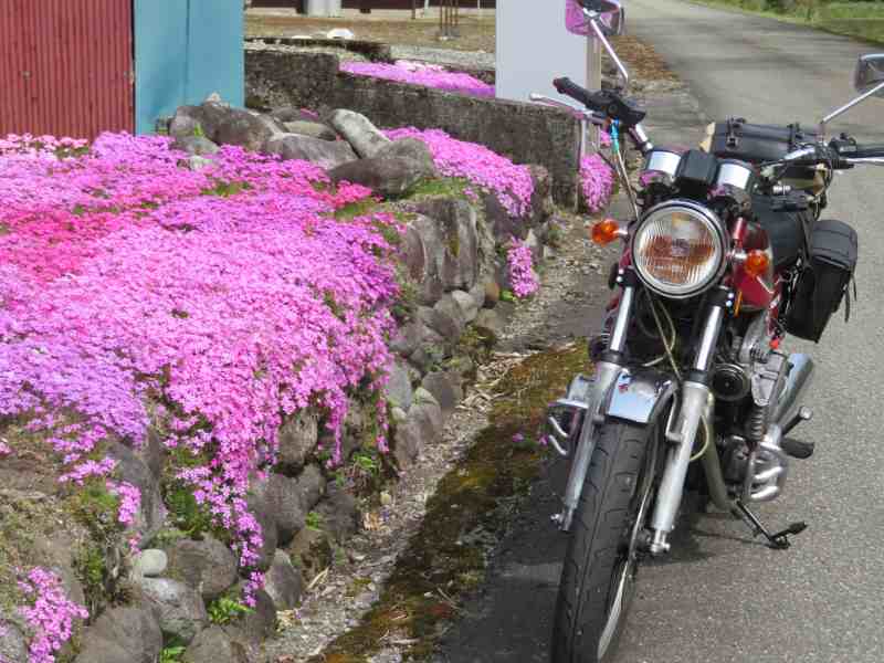 f:id:mannenNA:20201015202854j:plain