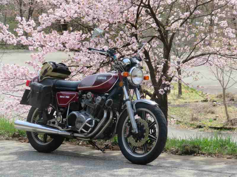 f:id:mannenNA:20201019194054j:plain