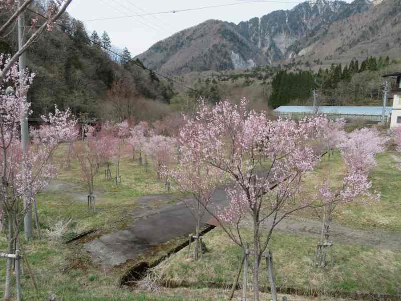 f:id:mannenNA:20201019194413j:plain