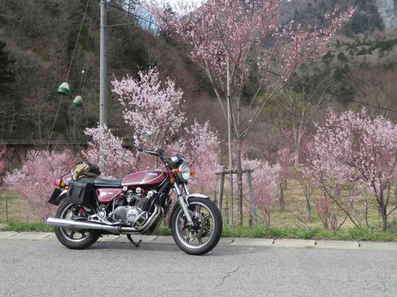 f:id:mannenNA:20201019194431j:plain