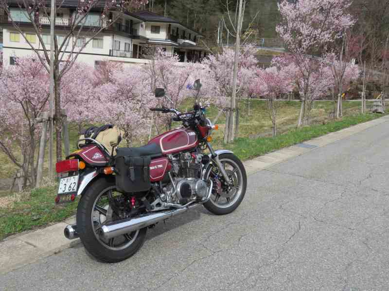 f:id:mannenNA:20201019194450j:plain