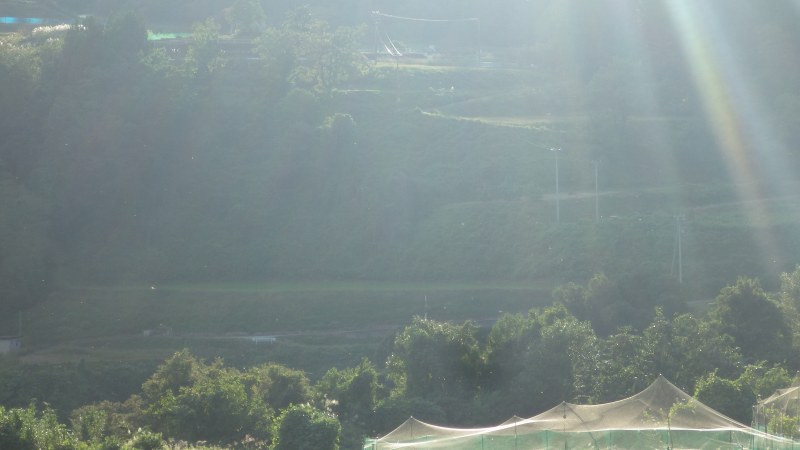 f:id:mannenNA:20201026184015j:plain f:id:mannenNA:20201026184015j:plain