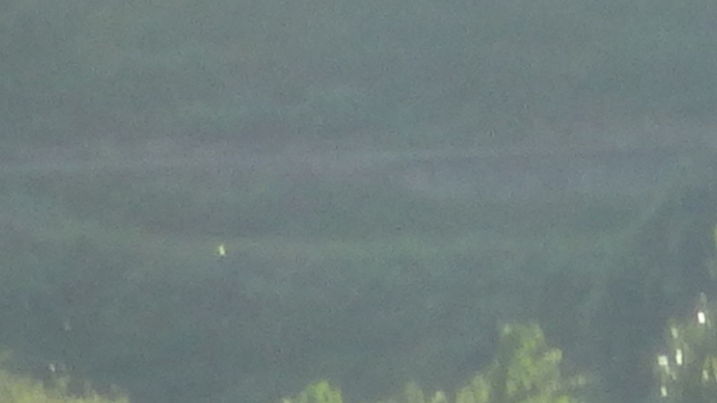 f:id:mannenNA:20201026184036j:plain f:id:mannenNA:20201026184036j:plain