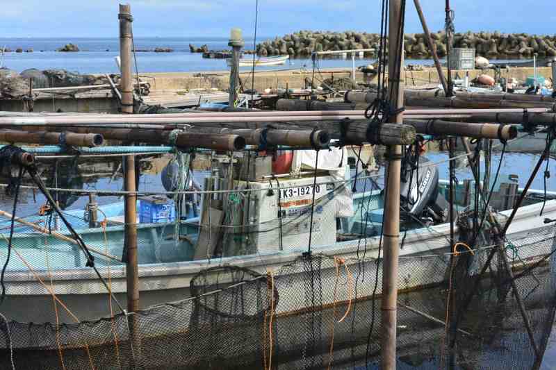 f:id:mannenNA:20201028181133j:plain