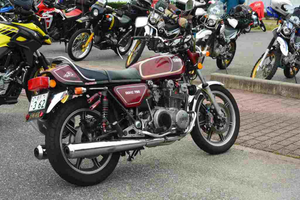 f:id:mannenNA:20201101194321j:plain f:id:mannenNA:20201101194321j:plain