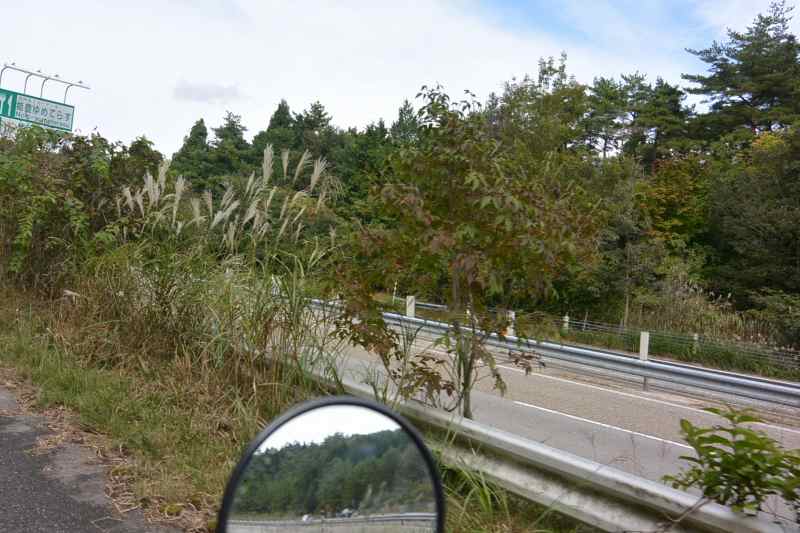 f:id:mannenNA:20201106203533j:plain f:id:mannenNA:20201106203533j:plain