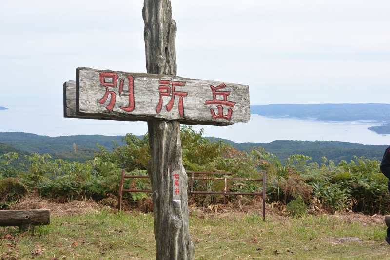 f:id:mannenNA:20201106203639j:plain f:id:mannenNA:20201106203639j:plain