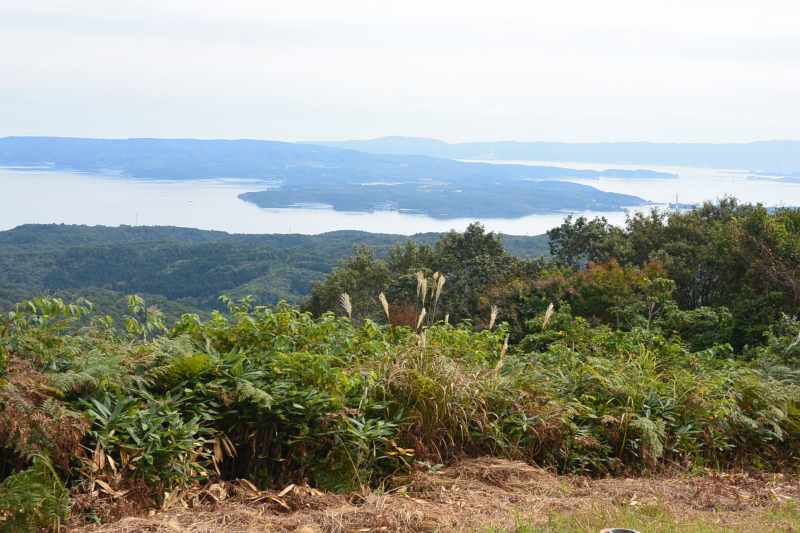 f:id:mannenNA:20201106203656j:plain f:id:mannenNA:20201106203656j:plain