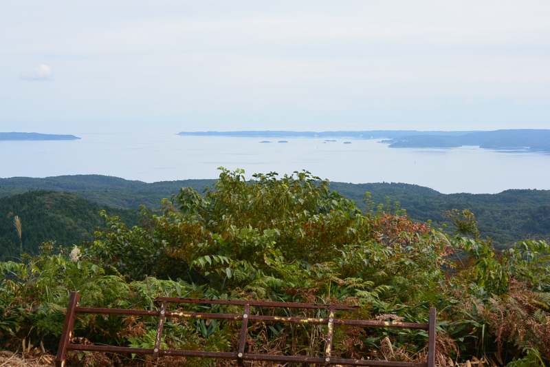 f:id:mannenNA:20201106203715j:plain f:id:mannenNA:20201106203715j:plain