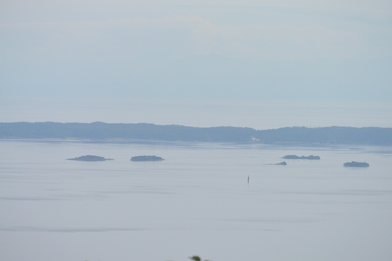 f:id:mannenNA:20201106204036j:plain f:id:mannenNA:20201106204036j:plain