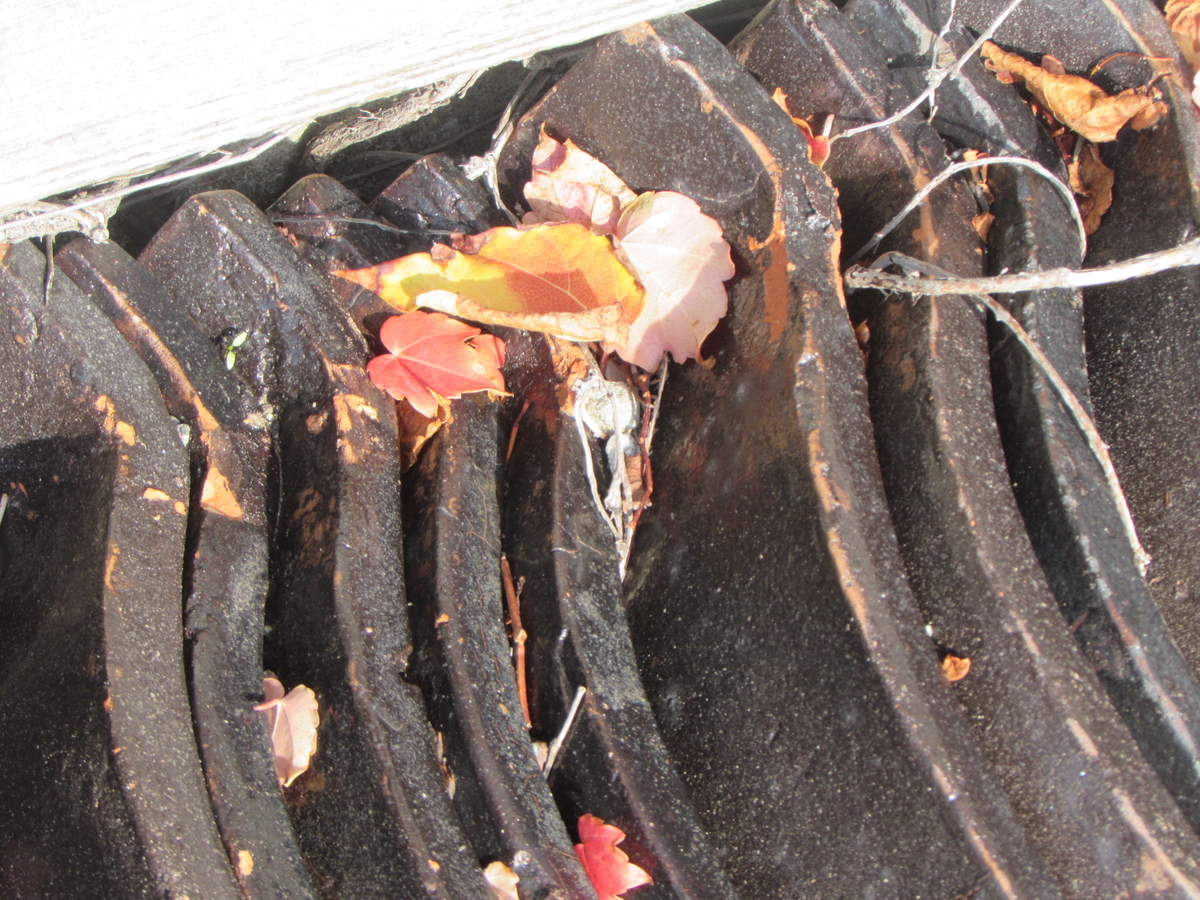 f:id:mannenNA:20201108185552j:plain