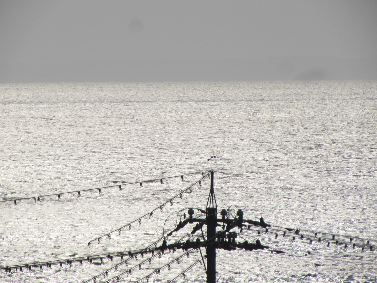 f:id:mannenNA:20201108185739j:plain