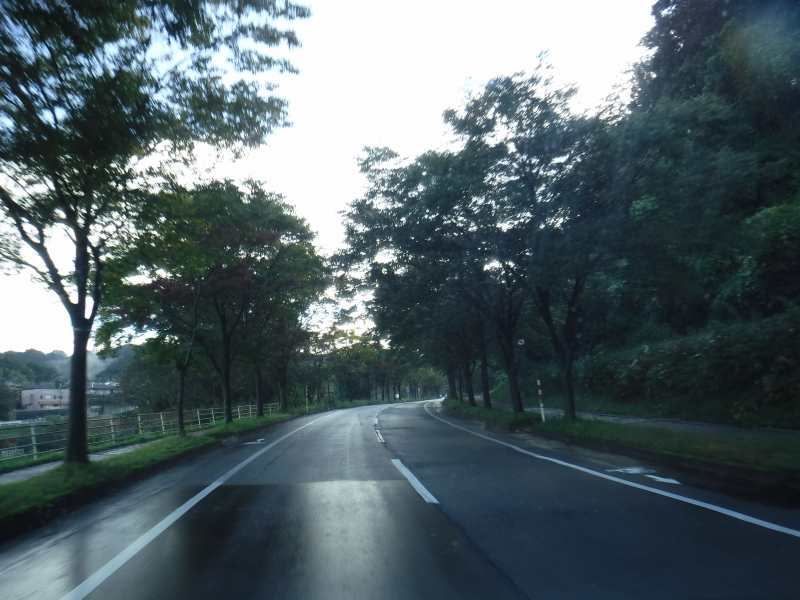 f:id:mannenNA:20201110194132j:plain f:id:mannenNA:20201110194132j:plain