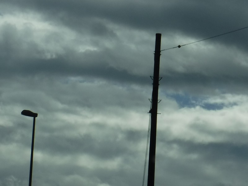 f:id:mannenNA:20201110194153j:plain f:id:mannenNA:20201110194153j:plain