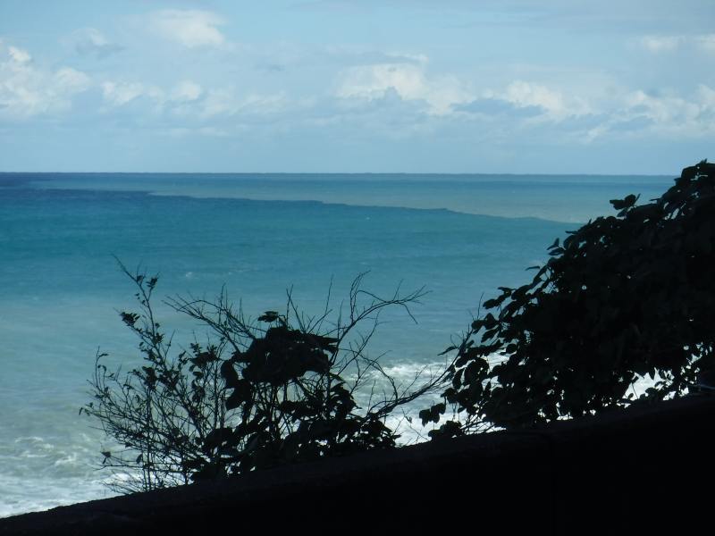 f:id:mannenNA:20201110194235j:plain f:id:mannenNA:20201110194235j:plain