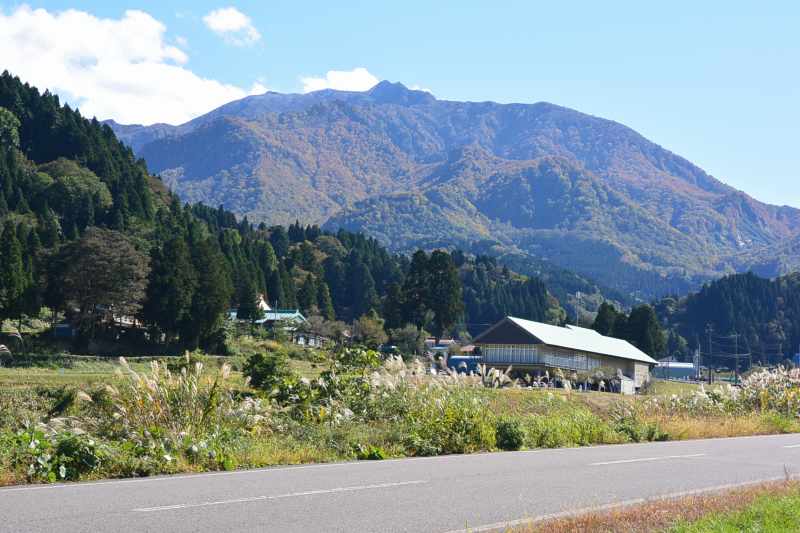 f:id:mannenNA:20201110194307j:plain f:id:mannenNA:20201110194307j:plain