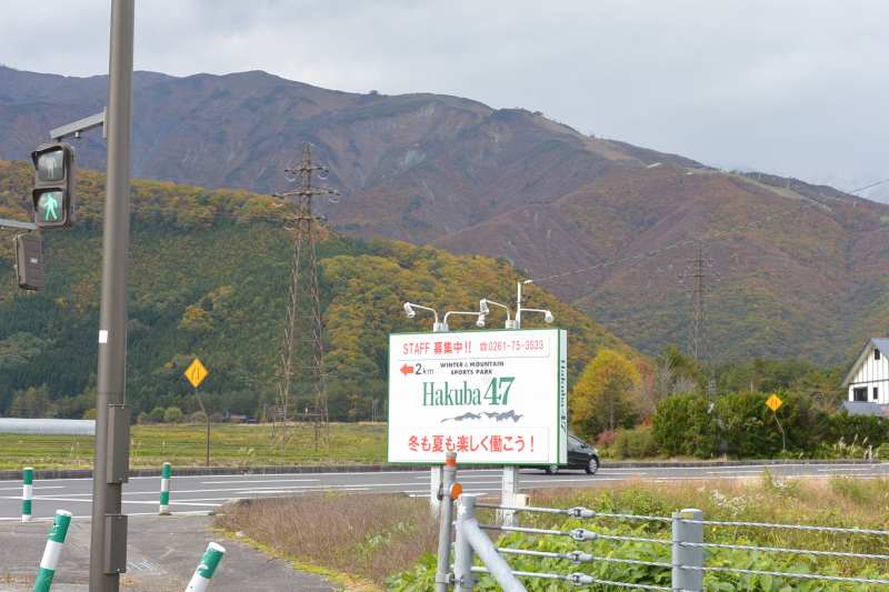 f:id:mannenNA:20201110194326j:plain f:id:mannenNA:20201110194326j:plain