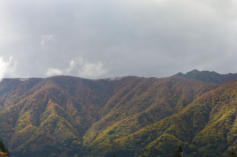 f:id:mannenNA:20201110194353j:plain f:id:mannenNA:20201110194353j:plain